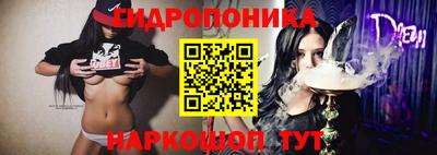 ПСИЛОЦИБИНОВЫЕ ГРИБЫ Заволжье