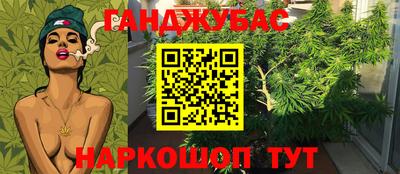 ПСИЛОЦИБИНОВЫЕ ГРИБЫ Заволжье