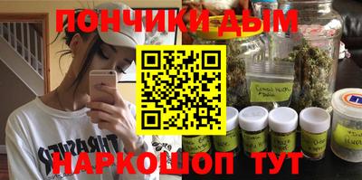 индика Заводоуковск