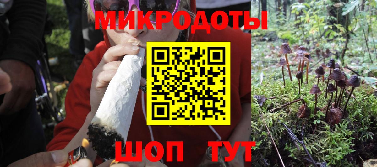 Галлюциногенные грибы GOLDEN TEACHER  Вход с VPN  Междуреченск 